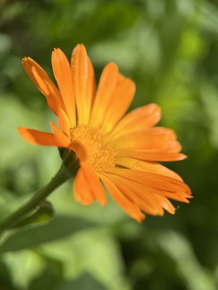 Photograph by Анастасия Бардыкина