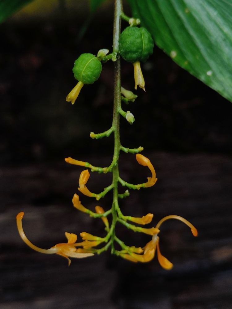 Photograph by anoop s