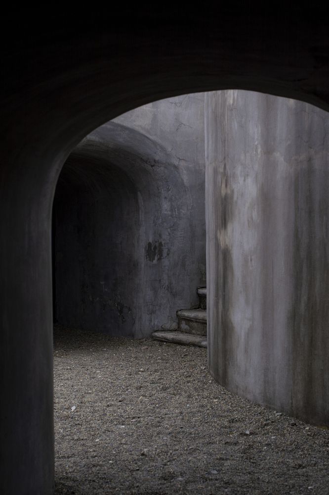 Photograph by Виктория Москалева