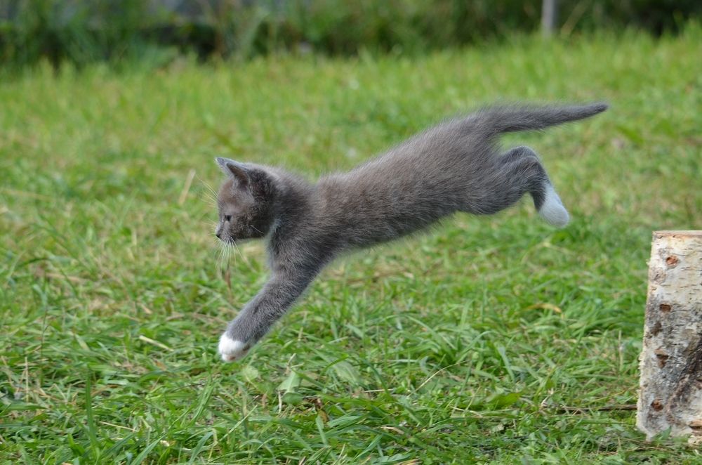 Photograph by Галина Катанова