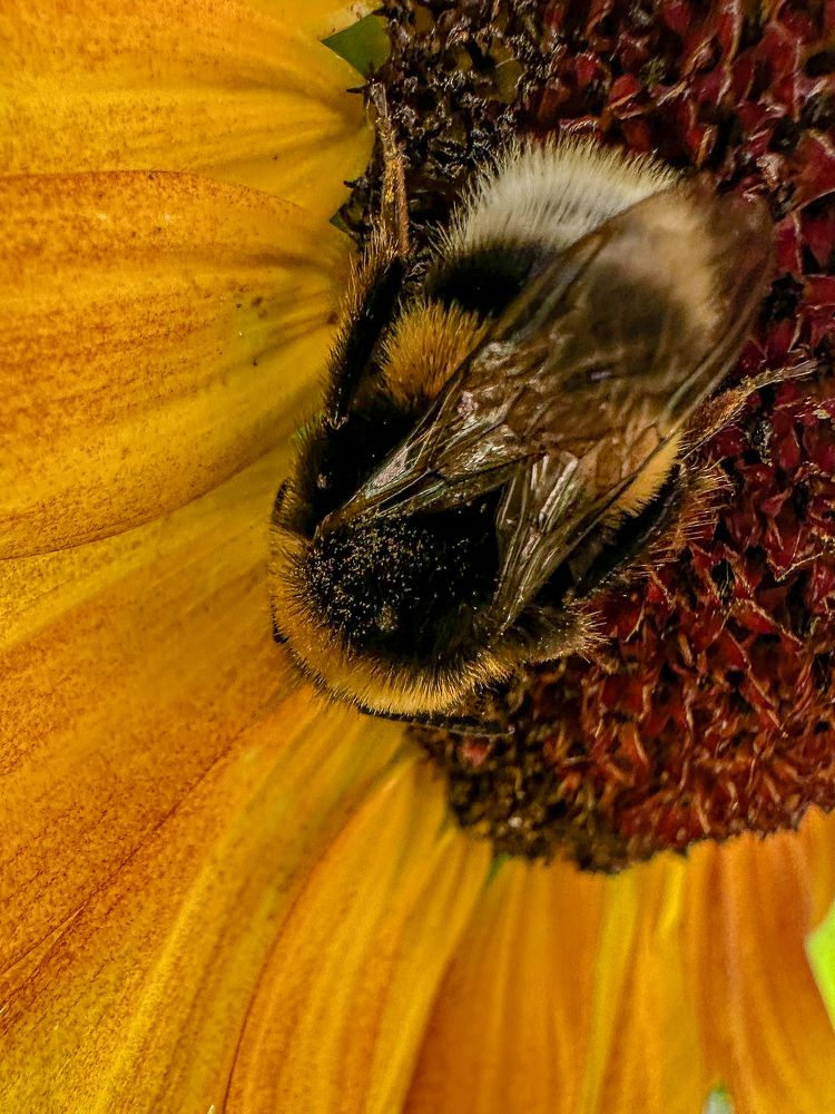 Photograph by Анна Петриенко