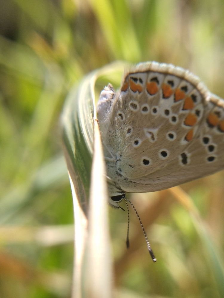 Photograph by Анна Степанова