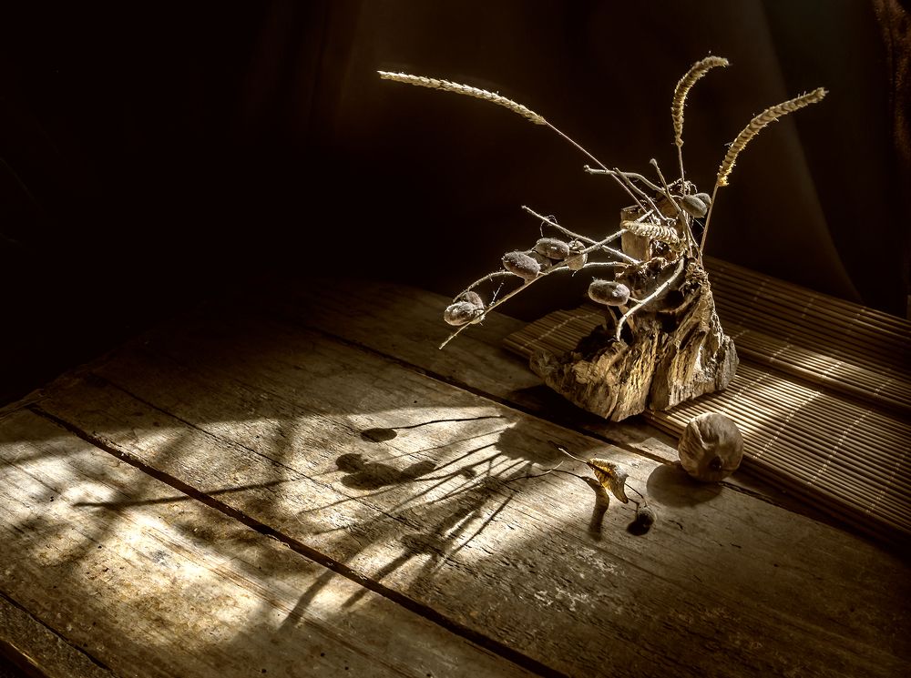 Фотография автора Milena Ivanova