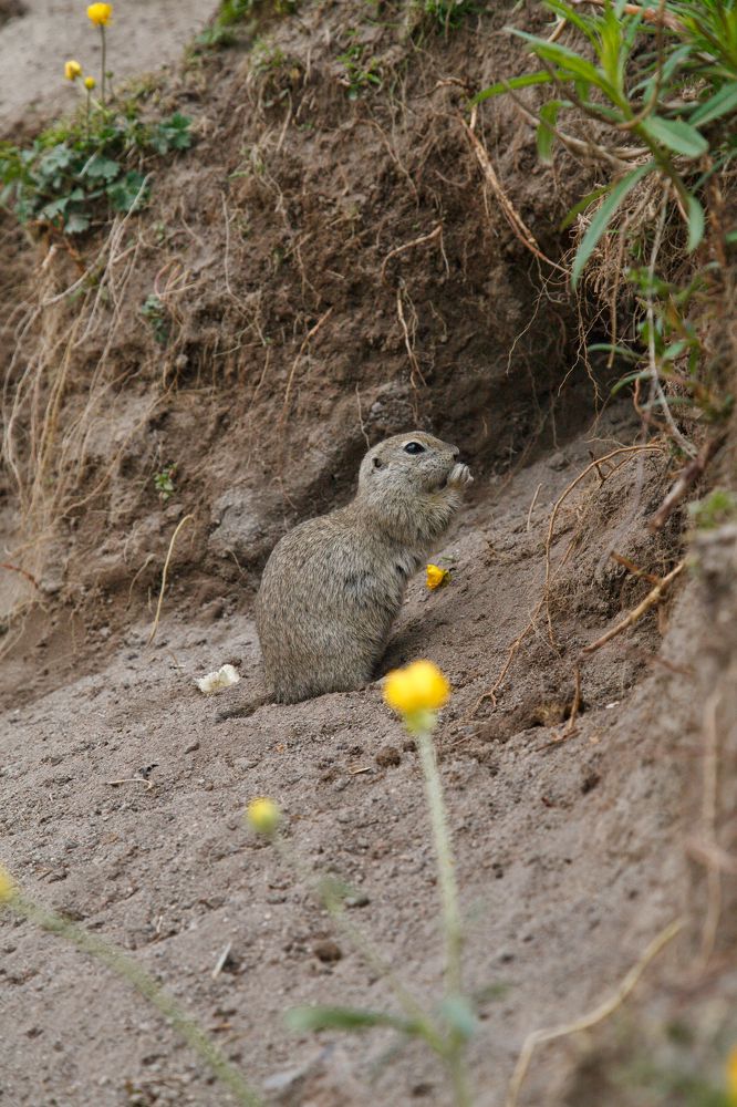 Photograph by Эльза Юнусова
