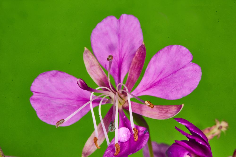 Photograph by Андрей Кротов