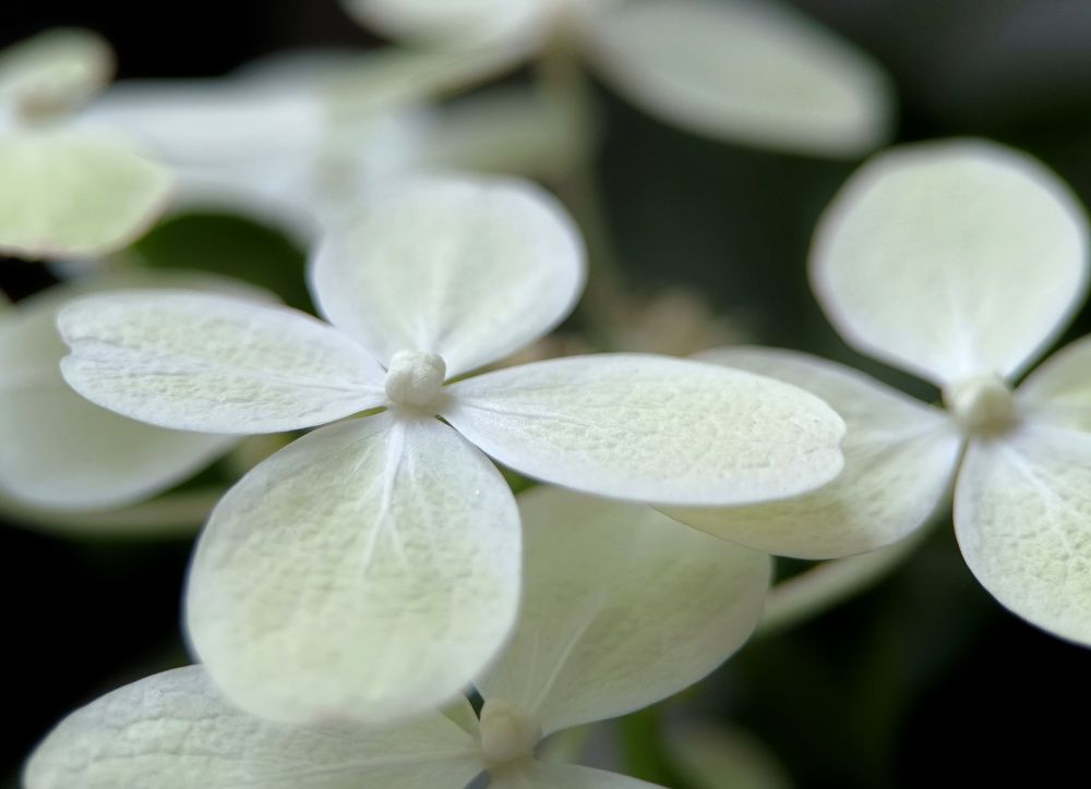 Фотография автора Ольга Кунакова
