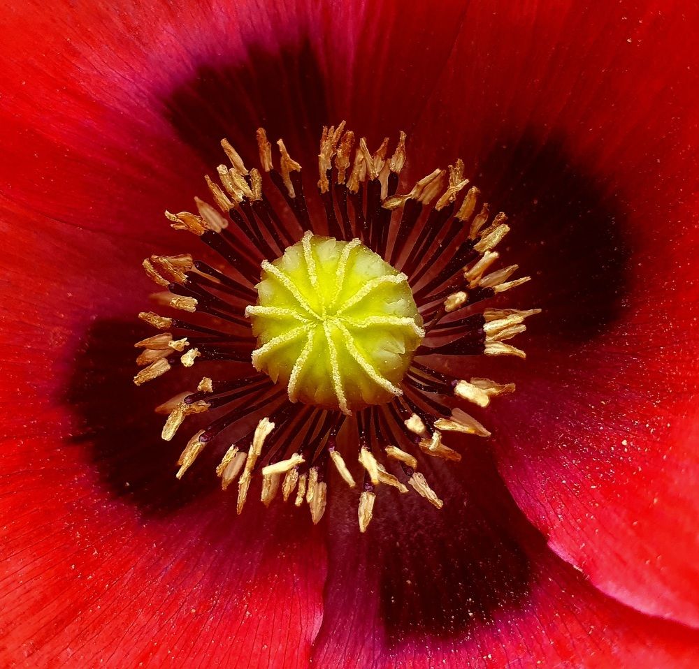 Photograph by Яна Галимуллина