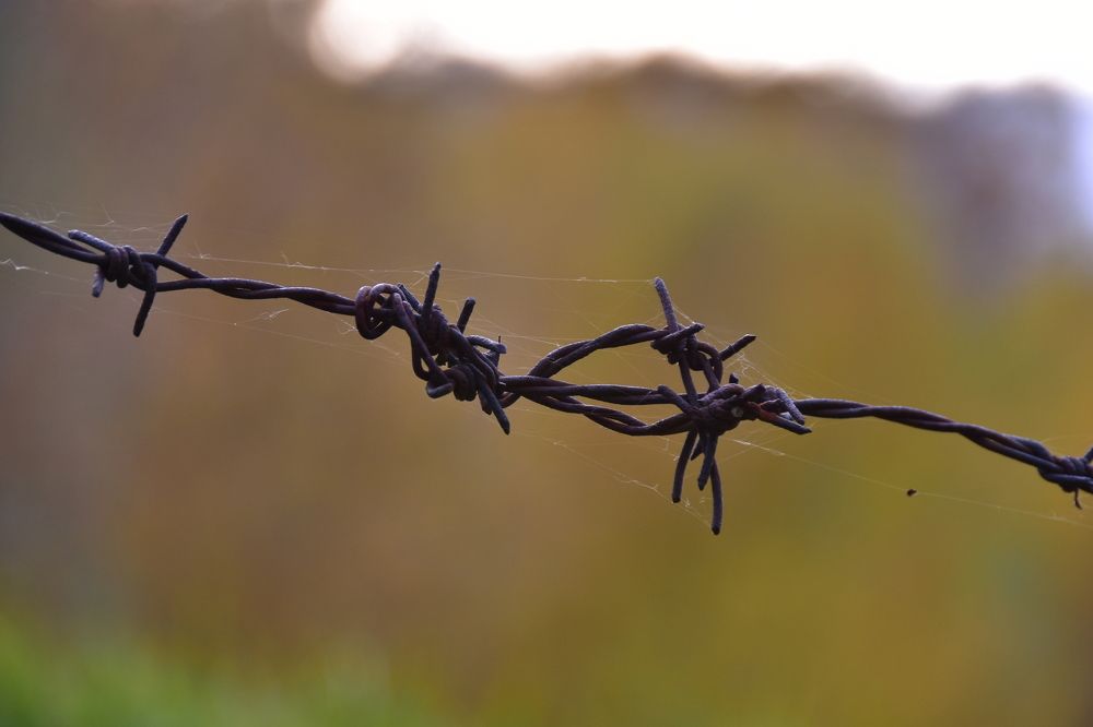 Photograph by Александр Рудаков