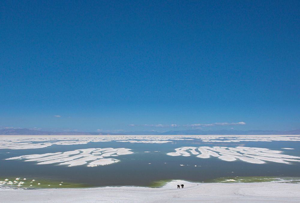 Фотография автора Hosein Davoodi