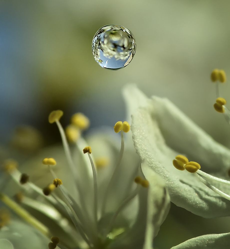 Photograph by Natalia Bolotenkova