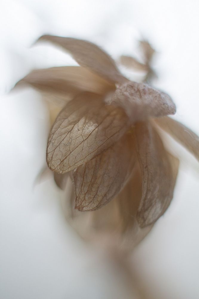 Photograph by Елена Глухарева