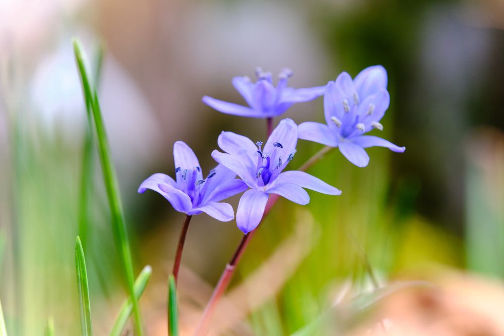 Photograph by Владислав Титов