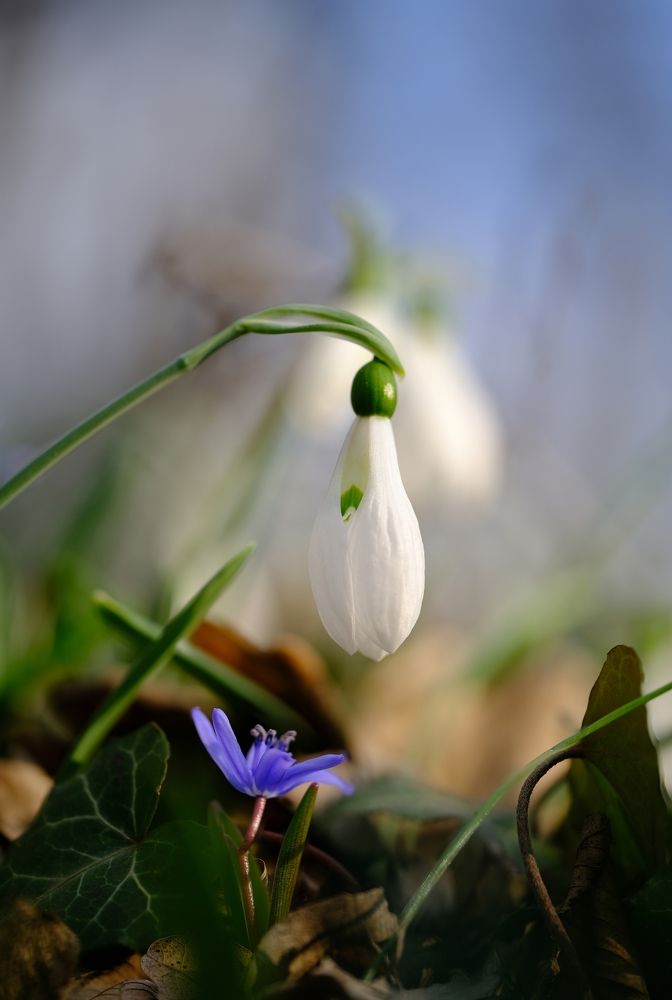 Photograph by Владислав Титов