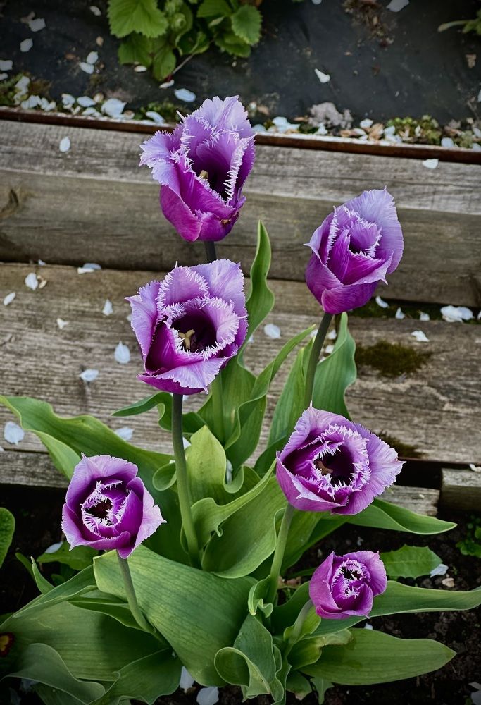 Photograph by Наумова Татьяна