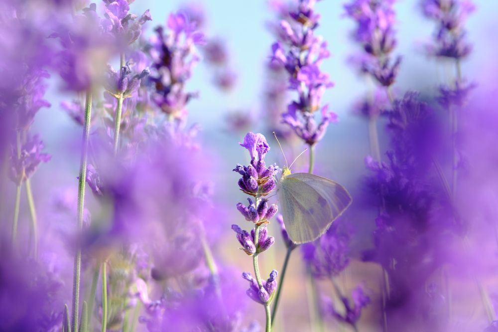 Photograph by Владислав Титов