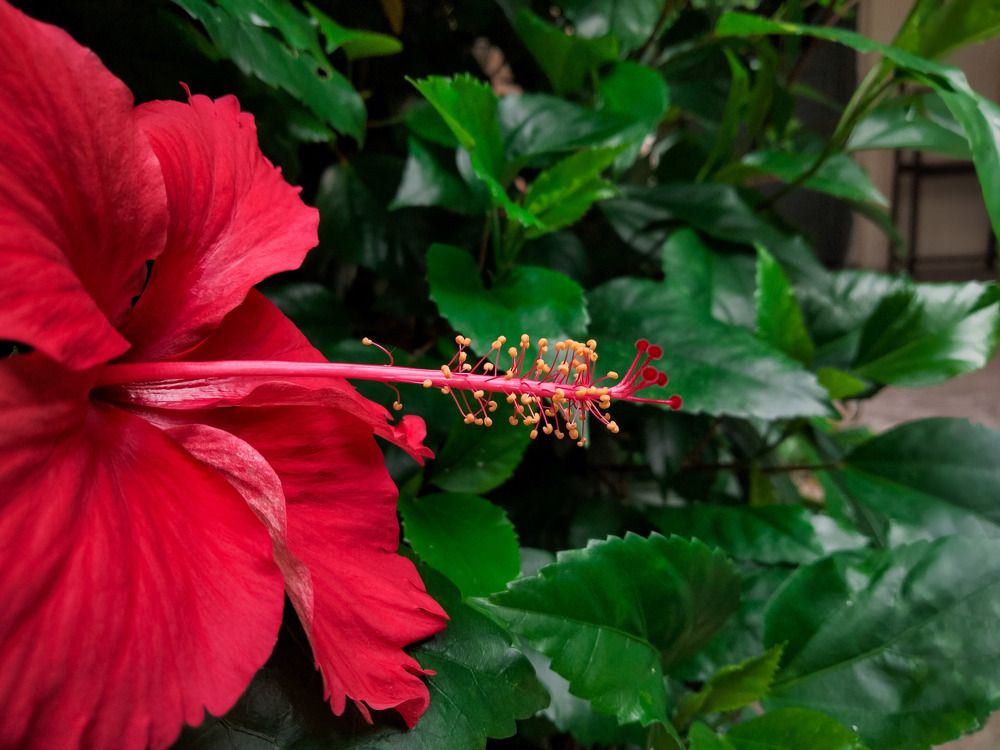 Photograph by Batool Sana