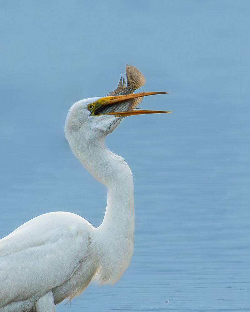 Фотография автора Anandhu M
