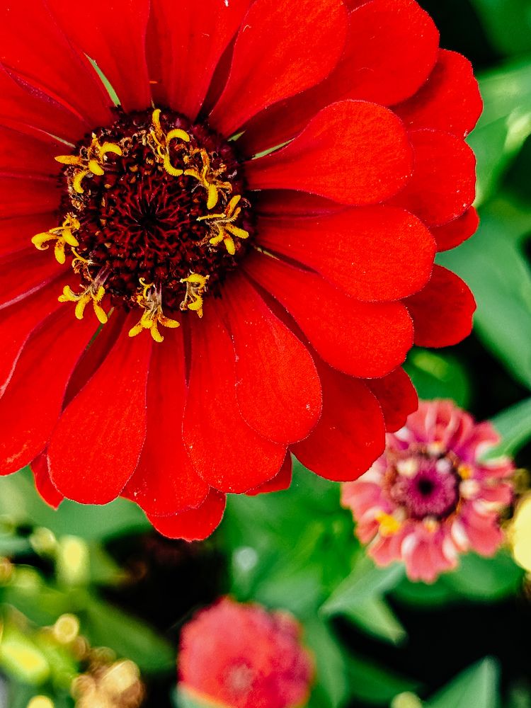 Фотография автора Асель Кузетова