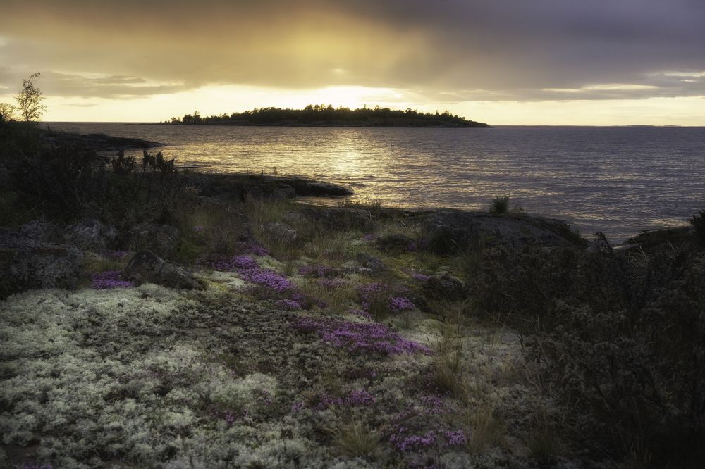 Photograph by Александр Корнейчев