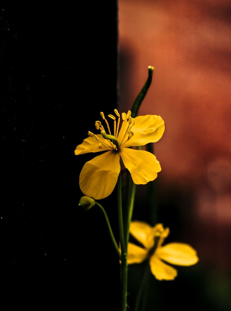 Photograph by Алексей Патрушев