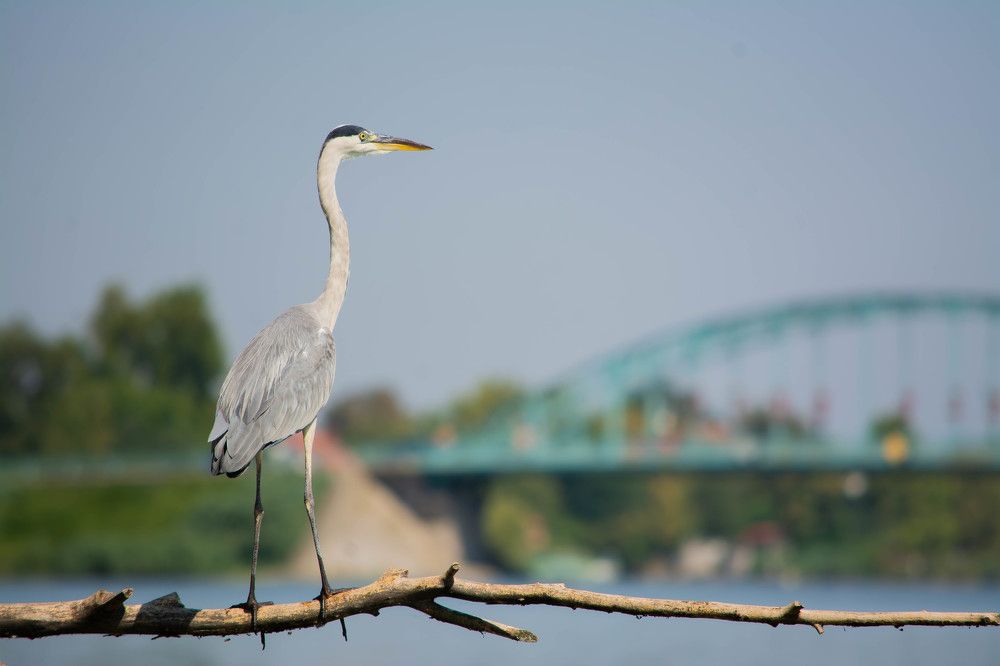 Photograph by Marianna Klein