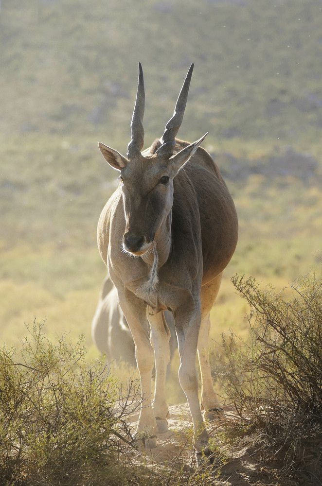 Photograph by Raed Victor Saad