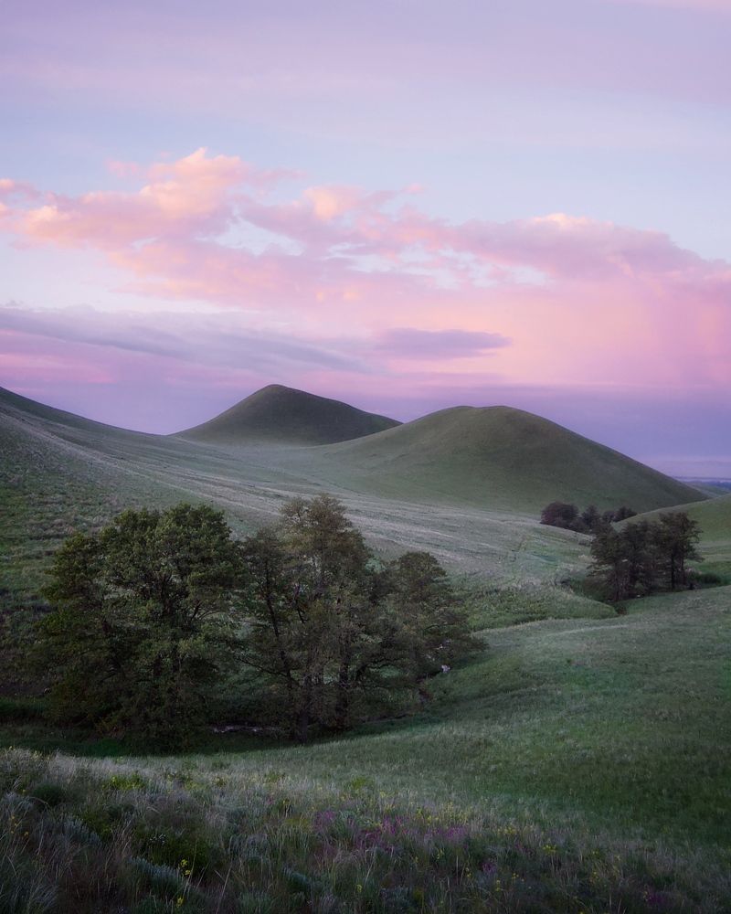 Фотография автора Ольга Белоусова