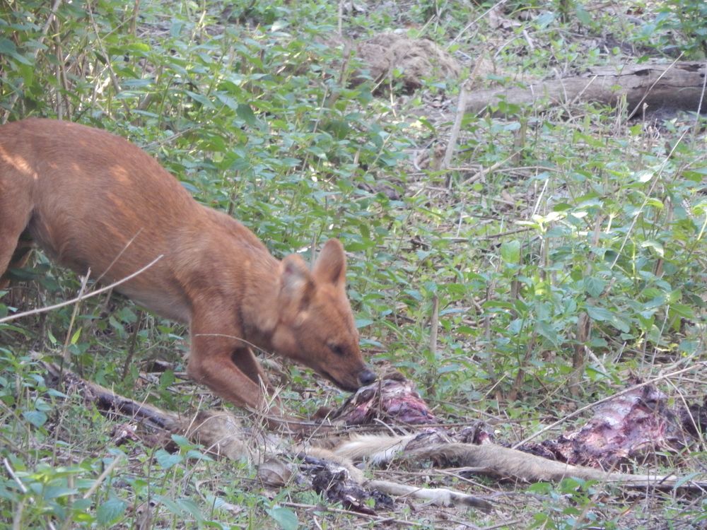 Photograph by Pradyumna K P