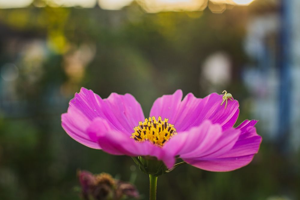 Photograph by Филипп Бабенко