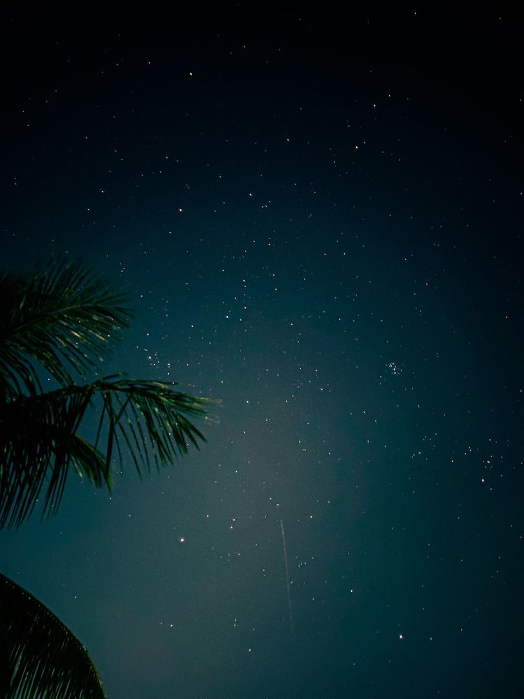 Photograph by Shouvik Biswas