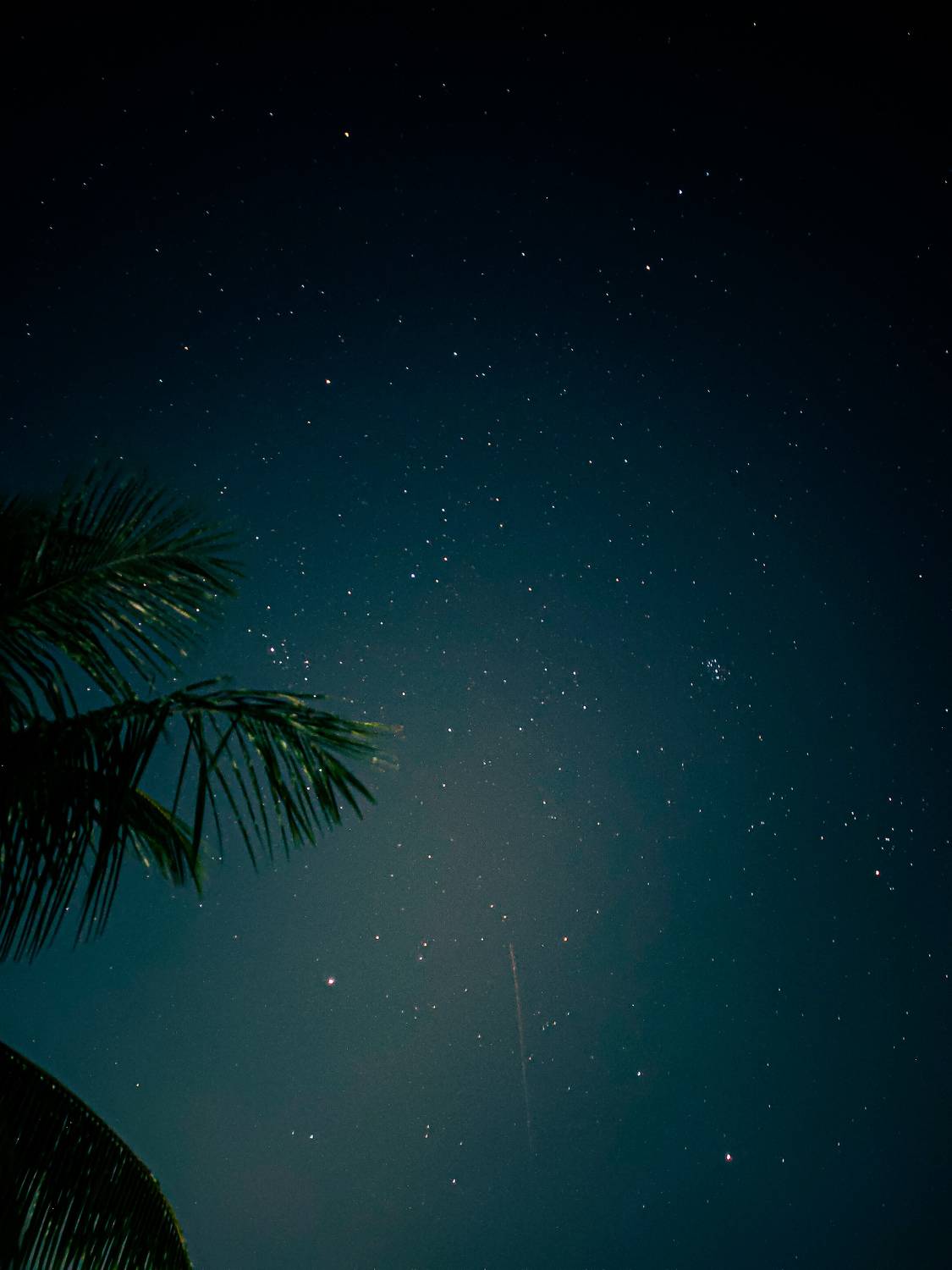 Photo #10992772