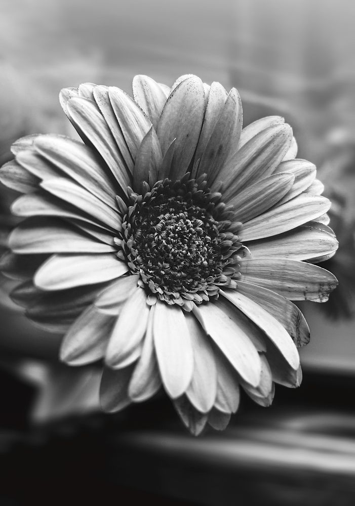 Photograph by Мария Никольская