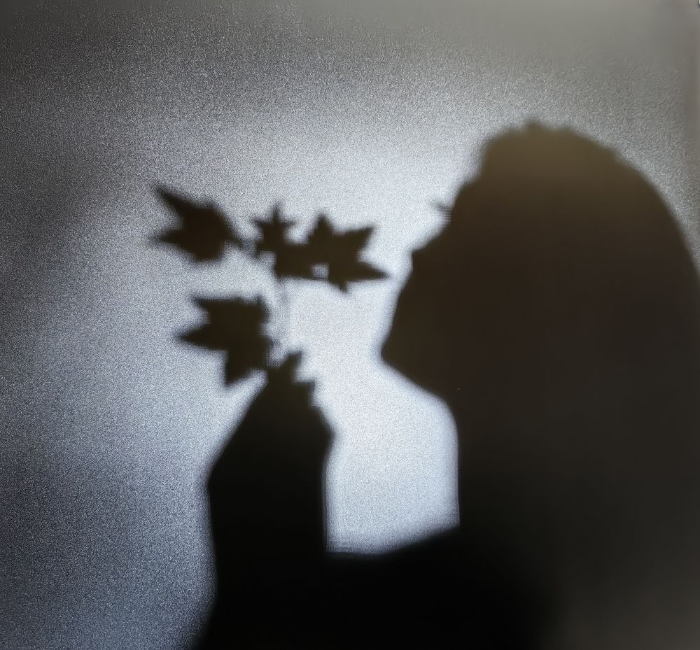 Photograph by Сергей Гриднев