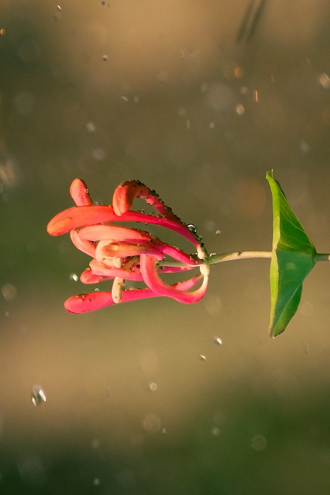 Photograph by Евгения Путинцева