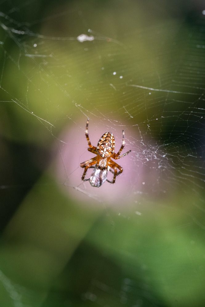 Photograph by Александр Стрельченко