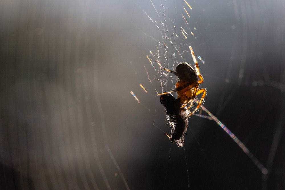 Photograph by Александр Стрельченко