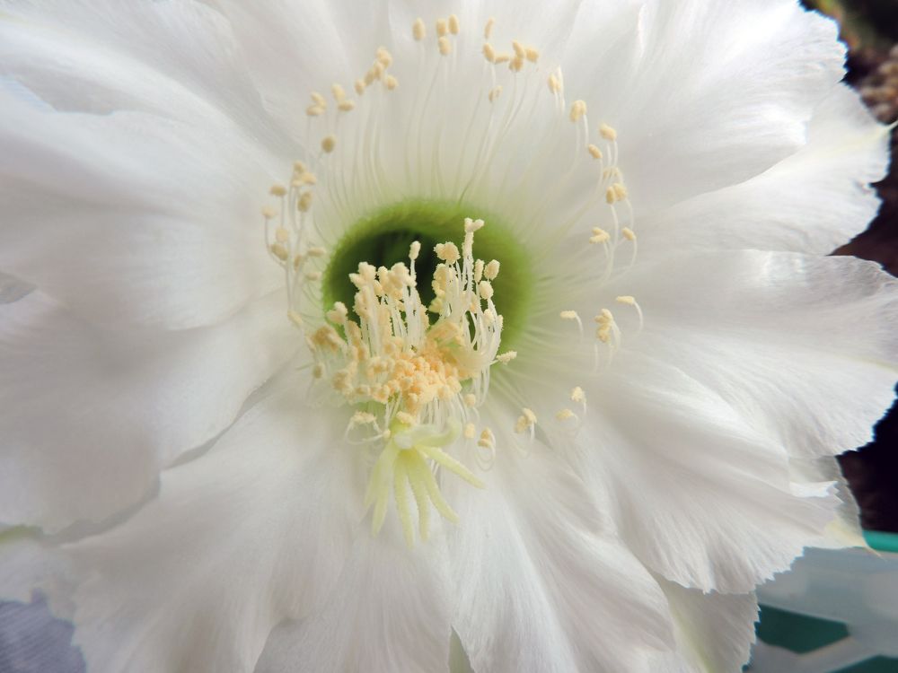 Photograph by Tatiana