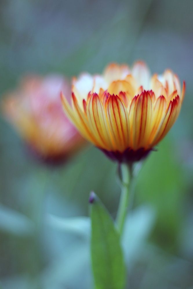 Photograph by Анастасия Северюхина