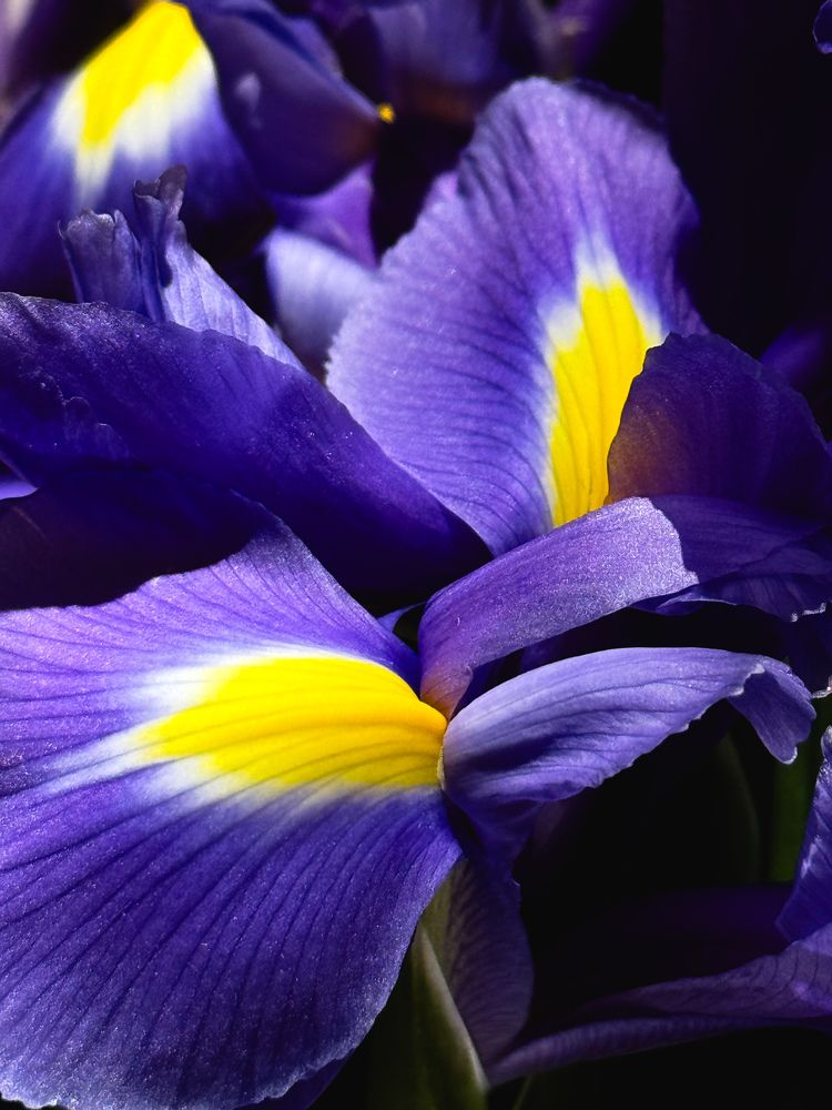 Photograph by Татьяна Шапочка