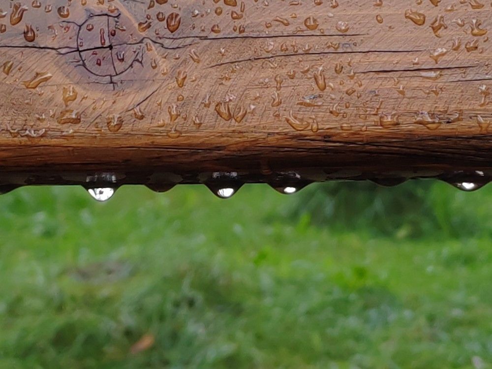 Photograph by Наталья Веряскина