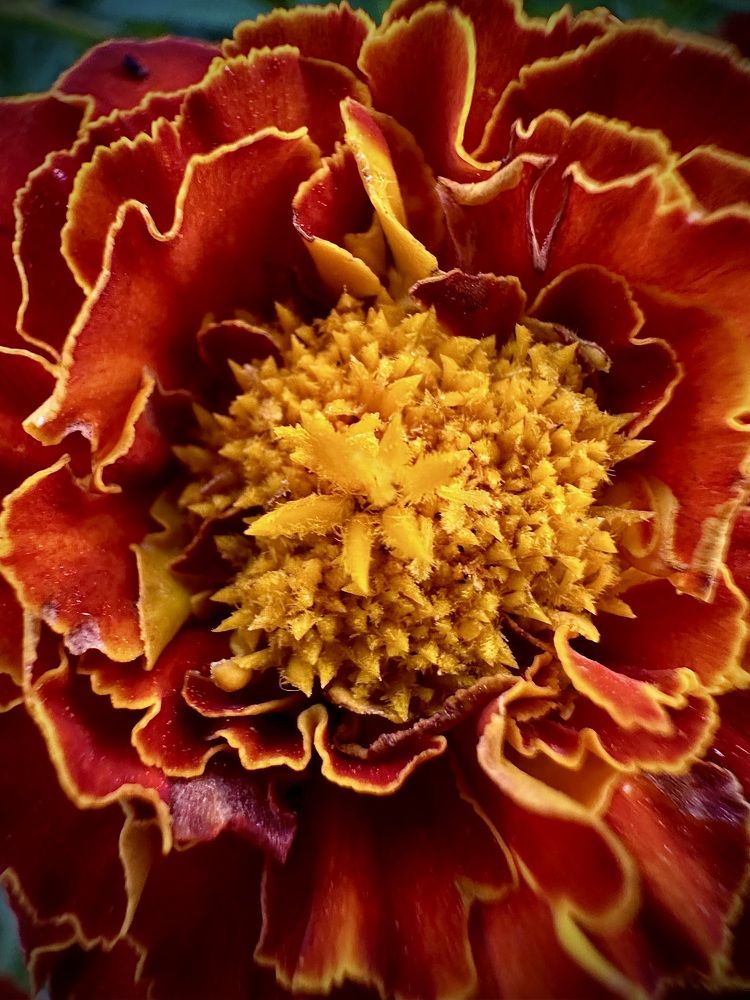 Photograph by Наумова Татьяна