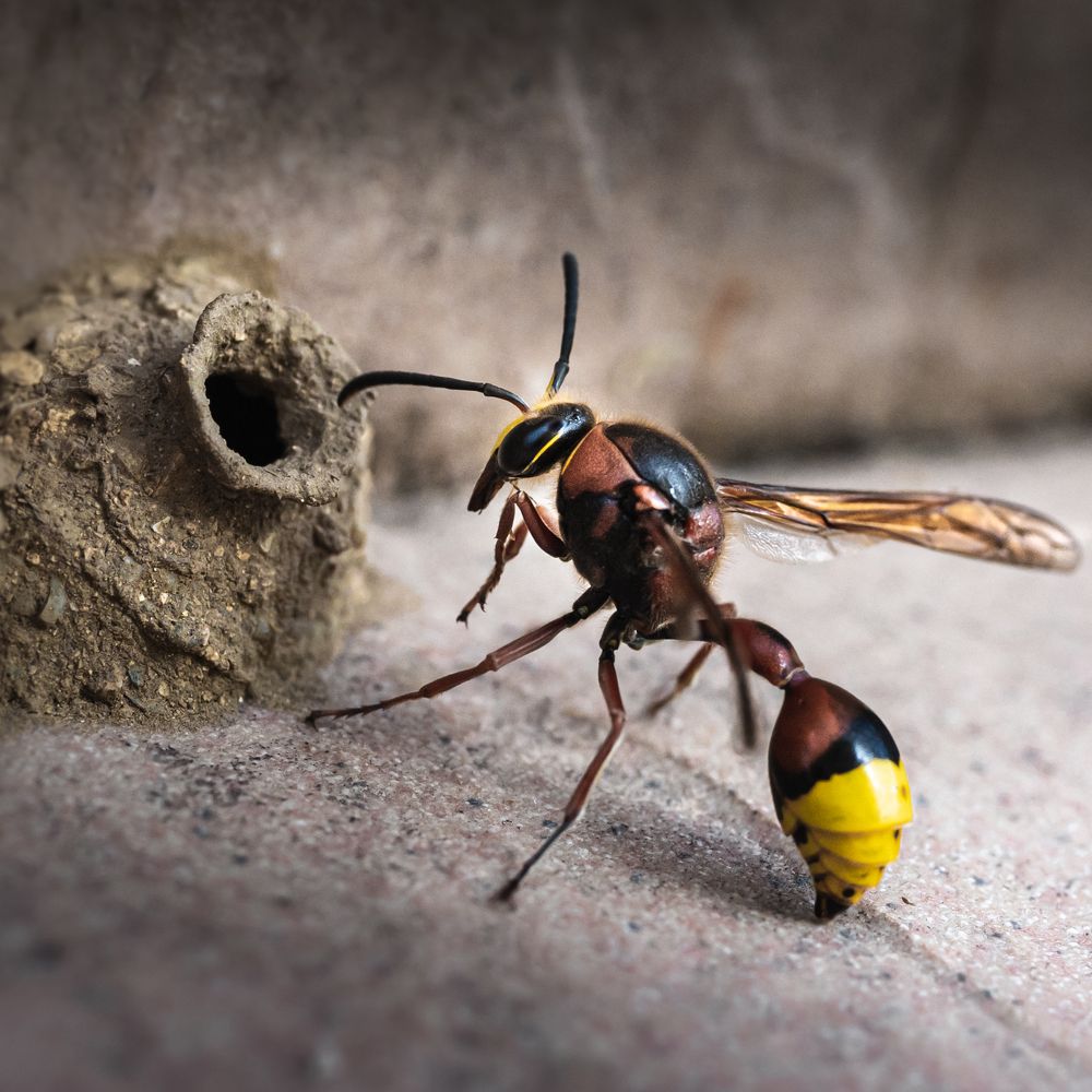 Photograph by Анна Стрелковская