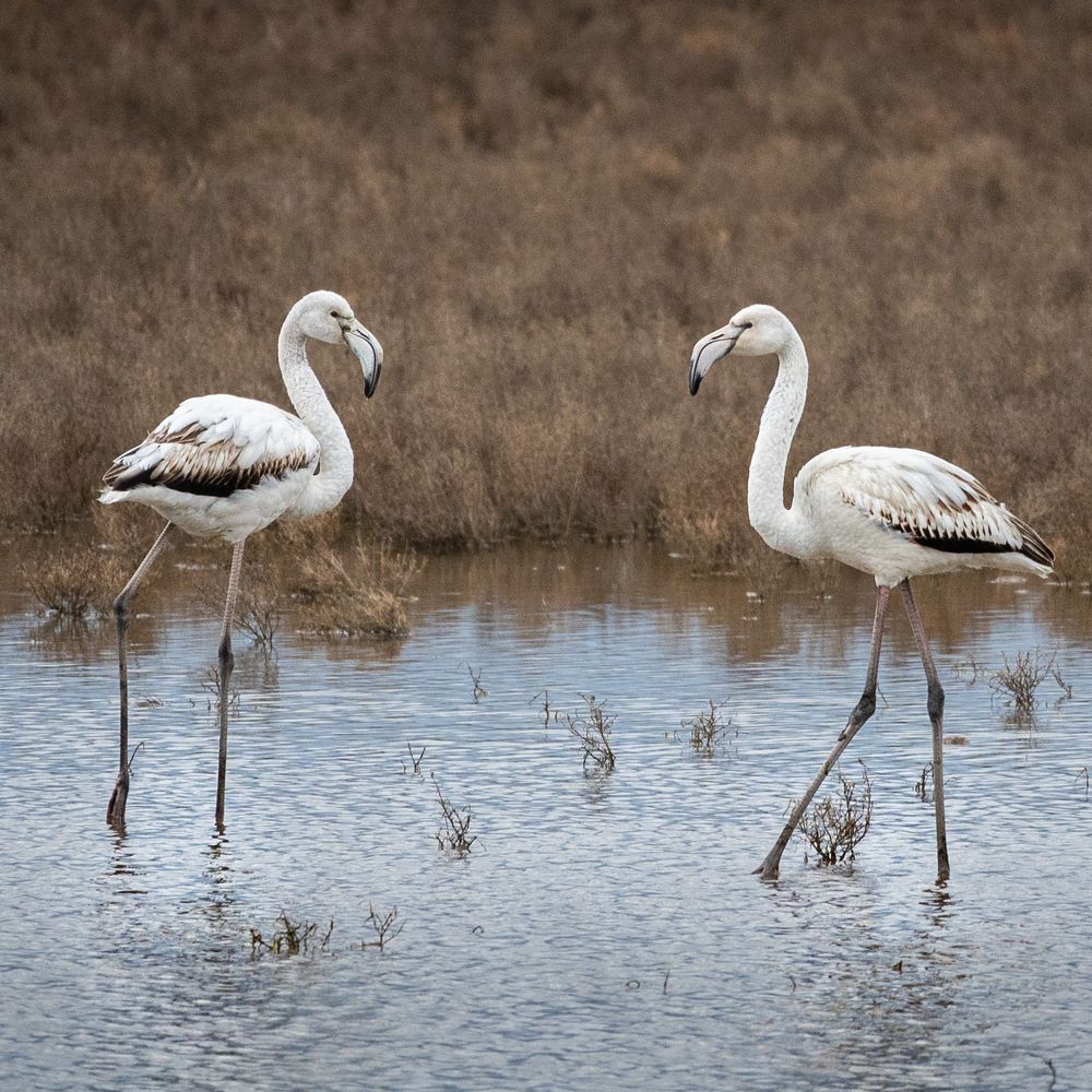 Photograph by Анна Стрелковская