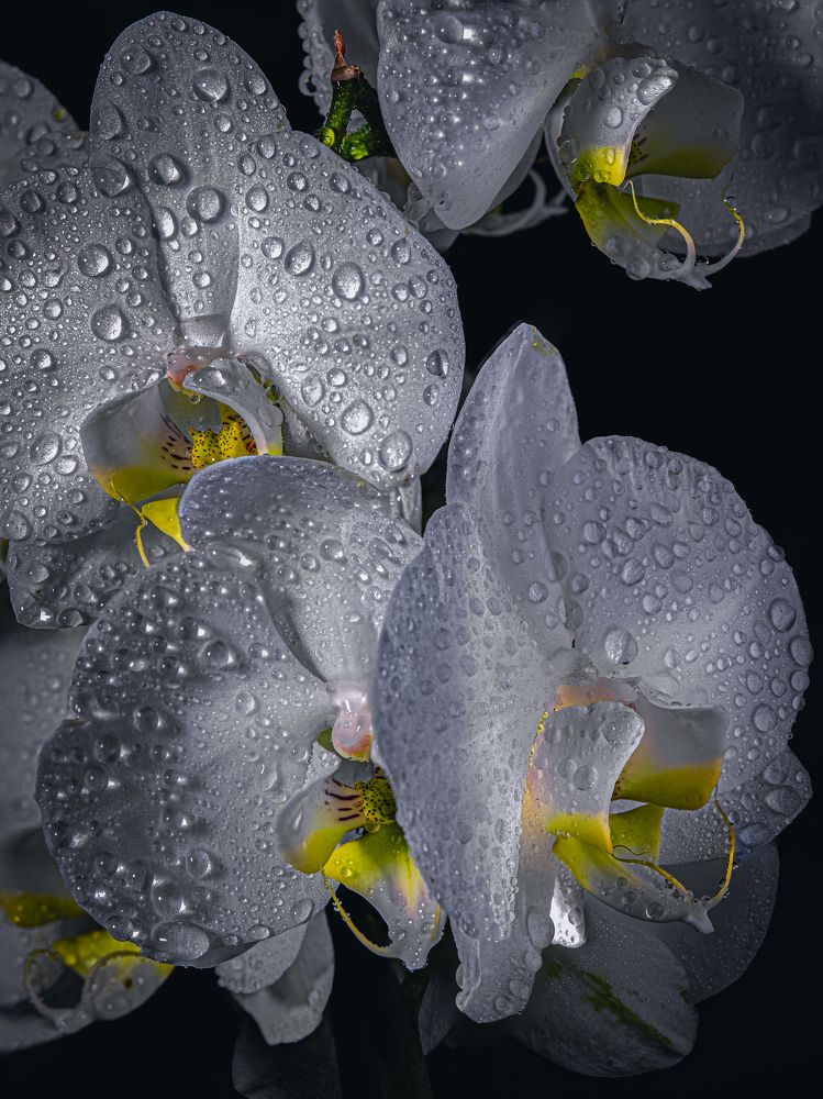 Photograph by Игорь Толкачев