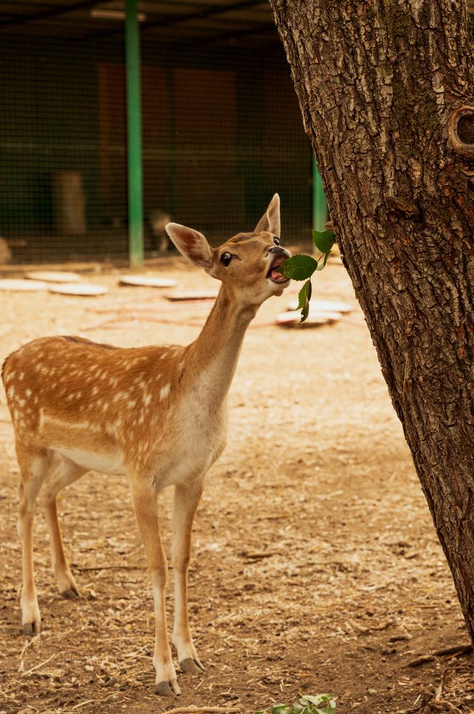 Photograph by Тишков Сергей