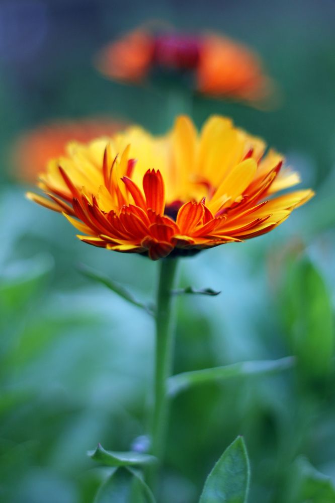 Photograph by Анастасия Северюхина