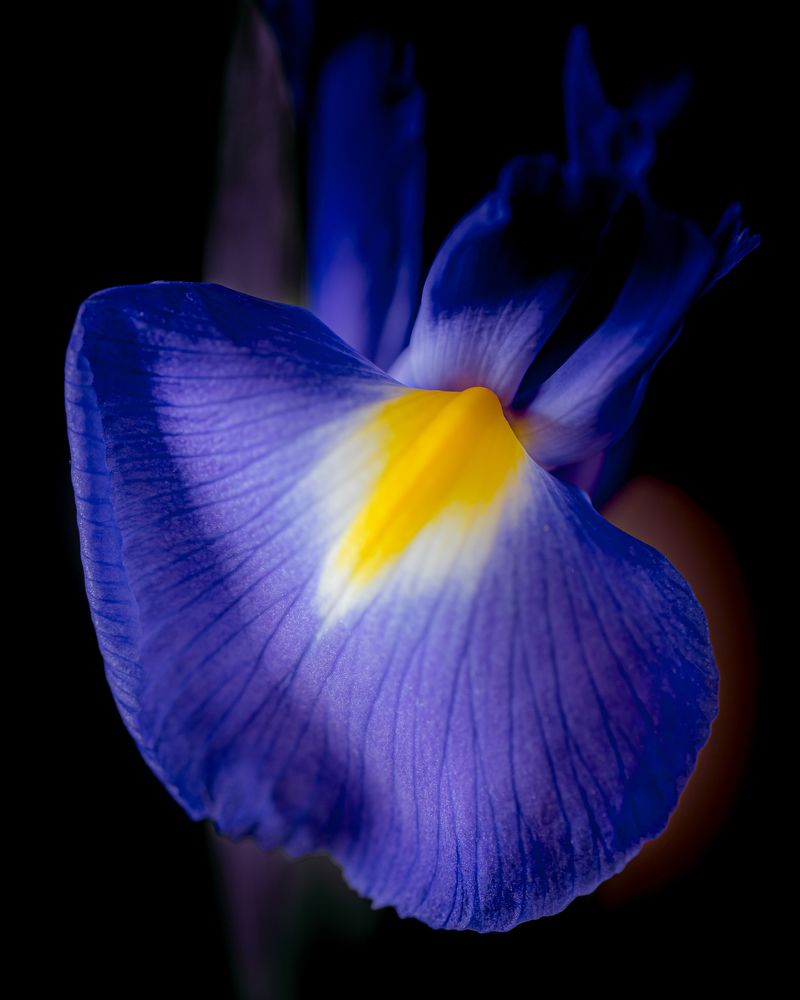 Photograph by Олег Зевиг
