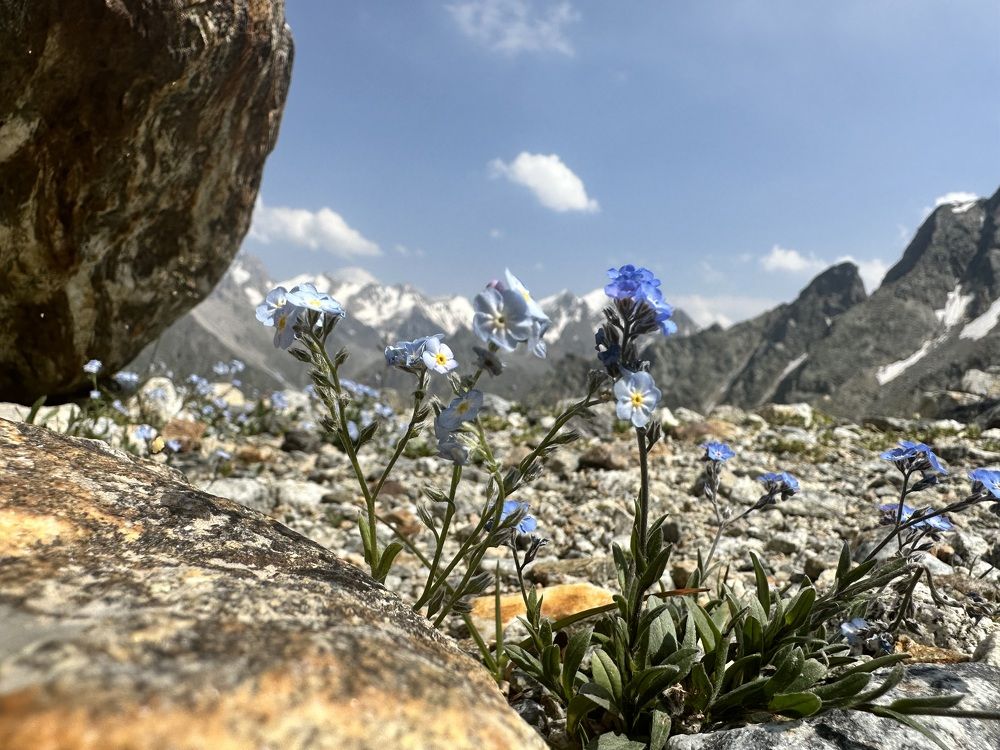 Photograph by Екатерина Карвасарская