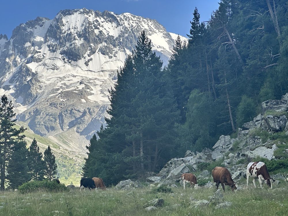 Photograph by Екатерина Карвасарская