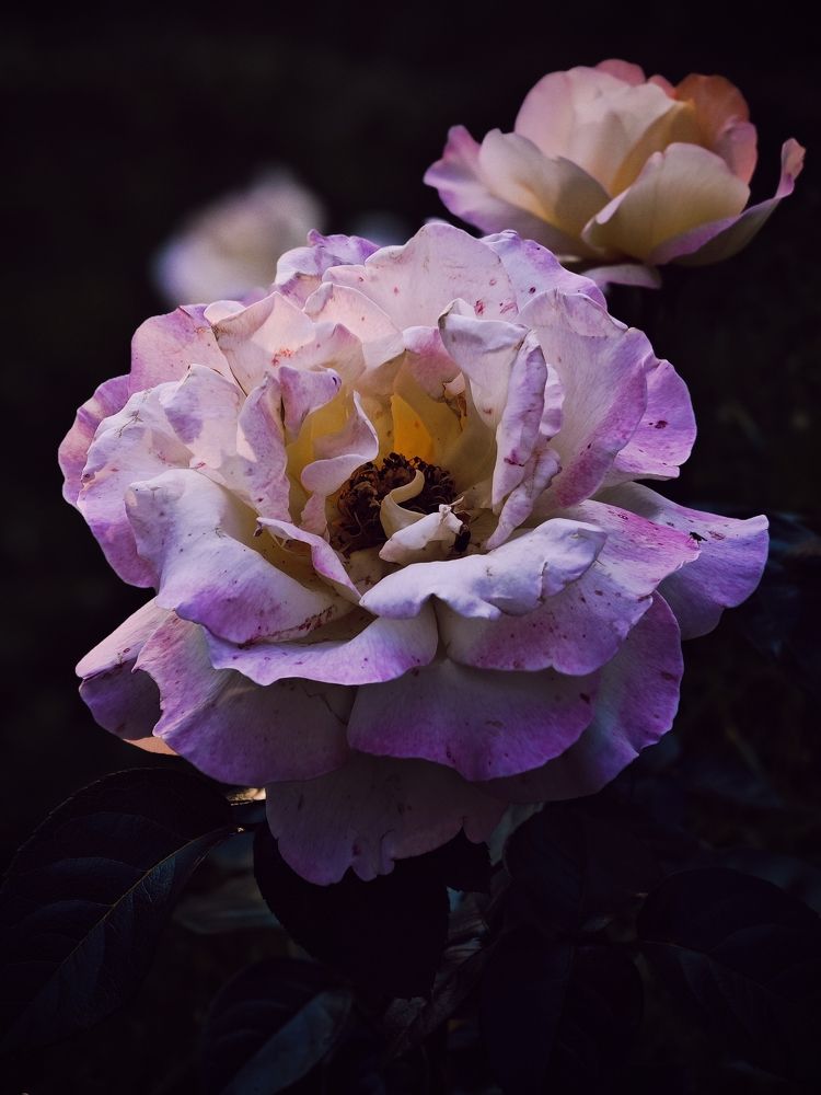 Photograph by Александр